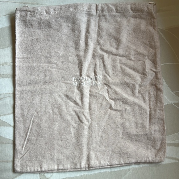 New Badgley Mischka 12 by 14 dust bag. - Picture 4 of 6